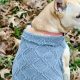 Easy DIY Dog Sweater: Craft a Cozy Look! | The DIY Hub: Creative Crafts, Repairs & Life Hacks