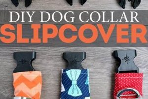 DIY Collar Dog: Easy, Safe & Stylish [Guide] | The DIY Hub: Creative Crafts, Repairs & Life Hacks
