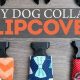 DIY Collar Dog: Easy, Safe & Stylish [Guide] | The DIY Hub: Creative Crafts, Repairs & Life Hacks
