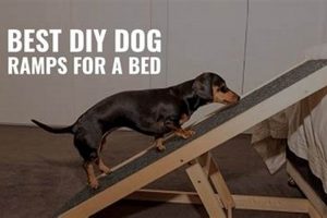 Build a Better DIY Dog Ramp for Bed: Easy Steps! | The DIY Hub: Creative Crafts, Repairs & Life Hacks