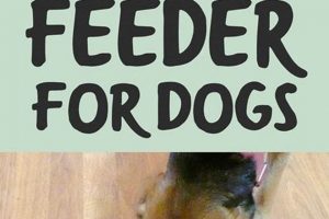 Easy DIY Slow Feeder for Dogs: Benefits & Plans | The DIY Hub: Creative Crafts, Repairs & Life Hacks