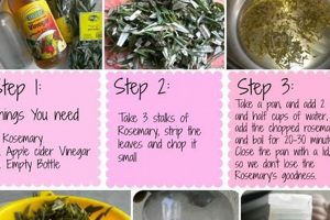 Boost Hair Growth: DIY Rosemary Hair Spray Recipe The DIY Hub: Creative Crafts, Repairs & Life Hacks Boost Hair Growth: DIY Rosemary Hair Spray Recipe | The DIY Hub: Creative Crafts, Repairs & Life Hacks