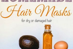 Best DIY Hair Mask for Dry Hair: Recipes & Tips The DIY Hub: Creative Crafts, Repairs & Life Hacks Best DIY Hair Mask for Dry Hair: Recipes & Tips | The DIY Hub: Creative Crafts, Repairs & Life Hacks
