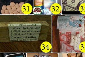 Funny DIY White Elephant Gift Ideas You Can Make! The DIY Hub: Creative Crafts, Repairs & Life Hacks Funny DIY White Elephant Gift Ideas You Can Make! | The DIY Hub: Creative Crafts, Repairs & Life Hacks