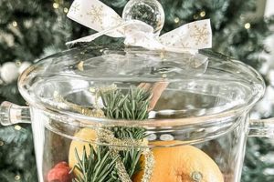 DIY Simmer Pot Gifts: Homemade Scents to Gift! The DIY Hub: Creative Crafts, Repairs & Life Hacks DIY Simmer Pot Gifts: Homemade Scents to Gift! | The DIY Hub: Creative Crafts, Repairs & Life Hacks