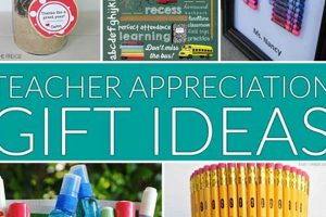 Easy Teacher Appreciation Day Gift Ideas DIY They'll Love! | The DIY Hub: Creative Crafts, Repairs & Life Hacks