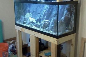 Build a Strong DIY Aquarium Tank Stand: Plans & Tips The DIY Hub: Creative Crafts, Repairs & Life Hacks Build a Strong DIY Aquarium Tank Stand: Plans & Tips | The DIY Hub: Creative Crafts, Repairs & Life Hacks
