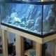 Build a Strong DIY Aquarium Tank Stand: Plans & Tips | The DIY Hub: Creative Crafts, Repairs & Life Hacks