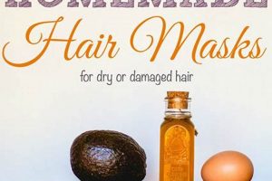 Easy DIY Dry Hair Mask: Hydrate Your Hair At Home! The DIY Hub: Creative Crafts, Repairs & Life Hacks Easy DIY Dry Hair Mask: Hydrate Your Hair At Home! | The DIY Hub: Creative Crafts, Repairs & Life Hacks
