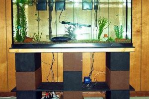Build Your Own: DIY 55 Gallon Aquarium Stand Guide The DIY Hub: Creative Crafts, Repairs & Life Hacks Build Your Own: DIY 55 Gallon Aquarium Stand Guide | The DIY Hub: Creative Crafts, Repairs & Life Hacks
