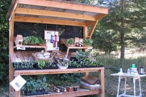 Build Your Own: DIY Farm Stand Guide & Ideas The DIY Hub: Creative Crafts, Repairs & Life Hacks Build Your Own: DIY Farm Stand Guide & Ideas | The DIY Hub: Creative Crafts, Repairs & Life Hacks