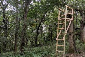 Build Your Own DIY Ladder Stand: Plans & Safety Tips! The DIY Hub: Creative Crafts, Repairs & Life Hacks Build Your Own DIY Ladder Stand: Plans & Safety Tips! | The DIY Hub: Creative Crafts, Repairs & Life Hacks
