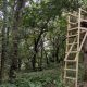 Build Your Own DIY Ladder Stand: Plans & Safety Tips! | The DIY Hub: Creative Crafts, Repairs & Life Hacks