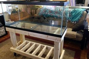 Build a Strong DIY 75 Gallon Aquarium Stand Today! | The DIY Hub: Creative Crafts, Repairs & Life Hacks