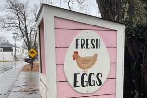 Build a Better DIY Egg Stand: Ideas & How-To | The DIY Hub: Creative Crafts, Repairs & Life Hacks