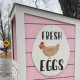 Build a Better DIY Egg Stand: Ideas & How-To | The DIY Hub: Creative Crafts, Repairs & Life Hacks