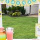 Easy Lemonade Stand DIY Plans: Build Yours Today! | The DIY Hub: Creative Crafts, Repairs & Life Hacks