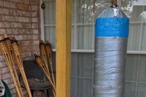 Build a Pro DIY Boxing Bag Stand: Plans & Guide The DIY Hub: Creative Crafts, Repairs & Life Hacks Build a Pro DIY Boxing Bag Stand: Plans & Guide | The DIY Hub: Creative Crafts, Repairs & Life Hacks