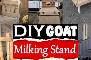 Build a Better DIY Goat Milking Stand: Plans & Tips! The DIY Hub: Creative Crafts, Repairs & Life Hacks Build a Better DIY Goat Milking Stand: Plans & Tips! | The DIY Hub: Creative Crafts, Repairs & Life Hacks
