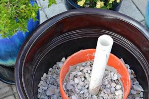 Upcycle! DIY Umbrella Stand Planter Ideas | The DIY Hub: Creative Crafts, Repairs & Life Hacks