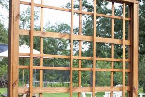 Build a Beautiful Garden: DIY Wood Trellis Plans & Ideas The DIY Hub: Creative Crafts, Repairs & Life Hacks Build a Beautiful Garden: DIY Wood Trellis Plans & Ideas | The DIY Hub: Creative Crafts, Repairs & Life Hacks