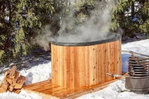 Build Your Own: DIY Wood Burning Hot Tub Guide The DIY Hub: Creative Crafts, Repairs & Life Hacks Build Your Own: DIY Wood Burning Hot Tub Guide | The DIY Hub: Creative Crafts, Repairs & Life Hacks