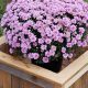 Easy Wooden Planter Box DIY: Build Your Dream Wood Planter | The DIY Hub: Creative Crafts, Repairs & Life Hacks
