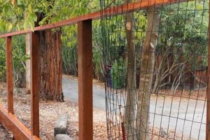 Woodworking: DIY Wood Fence Ideas & Plans! The DIY Hub: Creative Crafts, Repairs & Life Hacks Woodworking: DIY Wood Fence Ideas & Plans! | The DIY Hub: Creative Crafts, Repairs & Life Hacks
