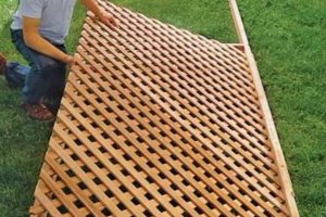 Easy Wood Trellis DIY: Build Your Own Support! The DIY Hub: Creative Crafts, Repairs & Life Hacks Easy Wood Trellis DIY: Build Your Own Support! | The DIY Hub: Creative Crafts, Repairs & Life Hacks