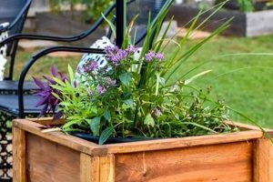 Easy Wood Planters DIY: Build Your Own! | The DIY Hub: Creative Crafts, Repairs & Life Hacks