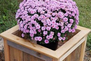 Easy Wooden Box Planters DIY: Build Yours Now! | The DIY Hub: Creative Crafts, Repairs & Life Hacks