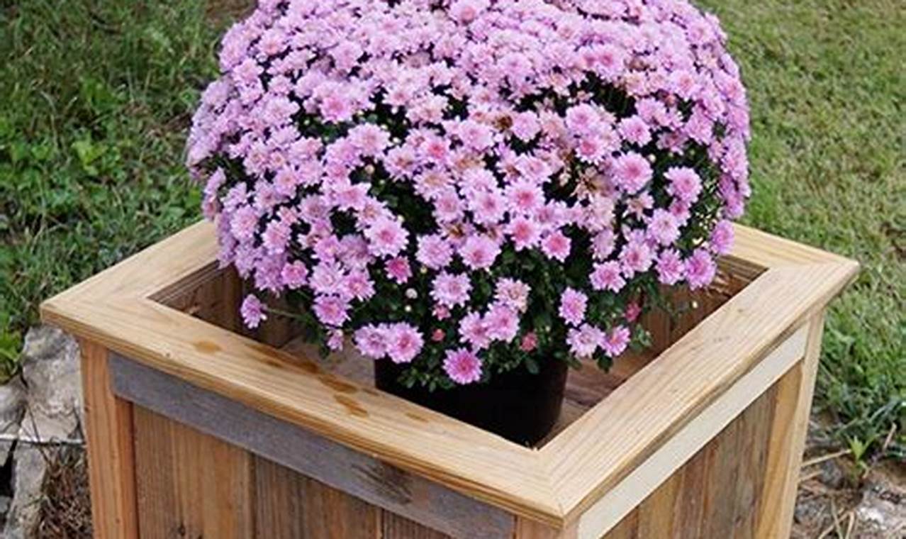 Easy Wooden Box Planters DIY: Build Yours Now! | The DIY Hub: Creative Crafts, Repairs & Life Hacks