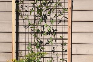 Woodworking Wonders: DIY Wooden Trellis Plans & Ideas The DIY Hub: Creative Crafts, Repairs & Life Hacks Woodworking Wonders: DIY Wooden Trellis Plans & Ideas | The DIY Hub: Creative Crafts, Repairs & Life Hacks