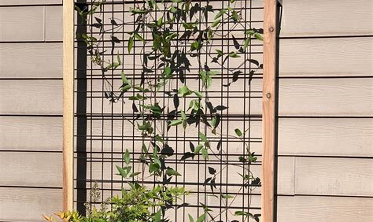Woodworking Wonders: DIY Wooden Trellis Plans & Ideas | The DIY Hub: Creative Crafts, Repairs & Life Hacks