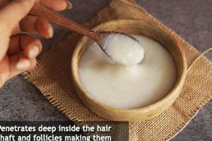 Grow Hair Faster: DIY Hair Mask to Make Hair Longer & Thicker Tips The DIY Hub: Creative Crafts, Repairs & Life Hacks Grow Hair Faster: DIY Hair Mask to Make Hair Longer & Thicker Tips | The DIY Hub: Creative Crafts, Repairs & Life Hacks
