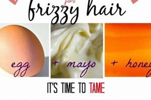 Best DIY Hair Mask for Frizzy Hair: Smooth Strands Now! The DIY Hub: Creative Crafts, Repairs & Life Hacks Best DIY Hair Mask for Frizzy Hair: Smooth Strands Now! | The DIY Hub: Creative Crafts, Repairs & Life Hacks