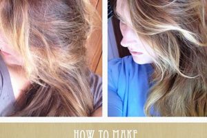 Best DIY Hair Toner Recipes at Home [Easy Guide] | The DIY Hub: Creative Crafts, Repairs & Life Hacks