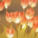DIY Delight: Tulip Night Light - LED Decor Magic! | The DIY Hub: Creative Crafts, Repairs & Life Hacks