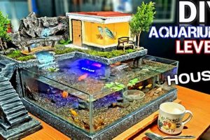 Easy DIY Aquarium Decor: Fish Tank Decorations The DIY Hub: Creative Crafts, Repairs & Life Hacks Easy DIY Aquarium Decor: Fish Tank Decorations | The DIY Hub: Creative Crafts, Repairs & Life Hacks
