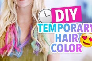 Easy DIY Temporary Hair Dye at Home | Hair Fun! The DIY Hub: Creative Crafts, Repairs & Life Hacks Easy DIY Temporary Hair Dye at Home | Hair Fun! | The DIY Hub: Creative Crafts, Repairs & Life Hacks