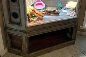 Creative DIY Bearded Dragon Decor Ideas & More The DIY Hub: Creative Crafts, Repairs & Life Hacks Creative DIY Bearded Dragon Decor Ideas & More | The DIY Hub: Creative Crafts, Repairs & Life Hacks