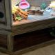 Creative DIY Bearded Dragon Decor Ideas & More | The DIY Hub: Creative Crafts, Repairs & Life Hacks