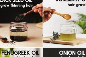 Boost Hair Growth: DIY Hair Oil Recipes at Home The DIY Hub: Creative Crafts, Repairs & Life Hacks Boost Hair Growth: DIY Hair Oil Recipes at Home | The DIY Hub: Creative Crafts, Repairs & Life Hacks