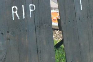 Spooky DIY Wood Halloween Decorations Ideas for Your Home The DIY Hub: Creative Crafts, Repairs & Life Hacks Spooky DIY Wood Halloween Decorations Ideas for Your Home | The DIY Hub: Creative Crafts, Repairs & Life Hacks