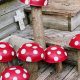 Enchanting DIY Mushroom Decorations: Fungi Decor! | The DIY Hub: Creative Crafts, Repairs & Life Hacks