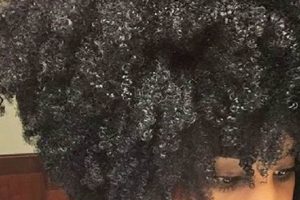 DIY Protein Treatment for Natural Hair: Tips & Tricks The DIY Hub: Creative Crafts, Repairs & Life Hacks DIY Protein Treatment for Natural Hair: Tips & Tricks | The DIY Hub: Creative Crafts, Repairs & Life Hacks