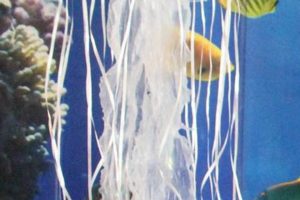 Dive In! Jellyfish Decorations DIY: Undersea Decor The DIY Hub: Creative Crafts, Repairs & Life Hacks Dive In! Jellyfish Decorations DIY: Undersea Decor | The DIY Hub: Creative Crafts, Repairs & Life Hacks