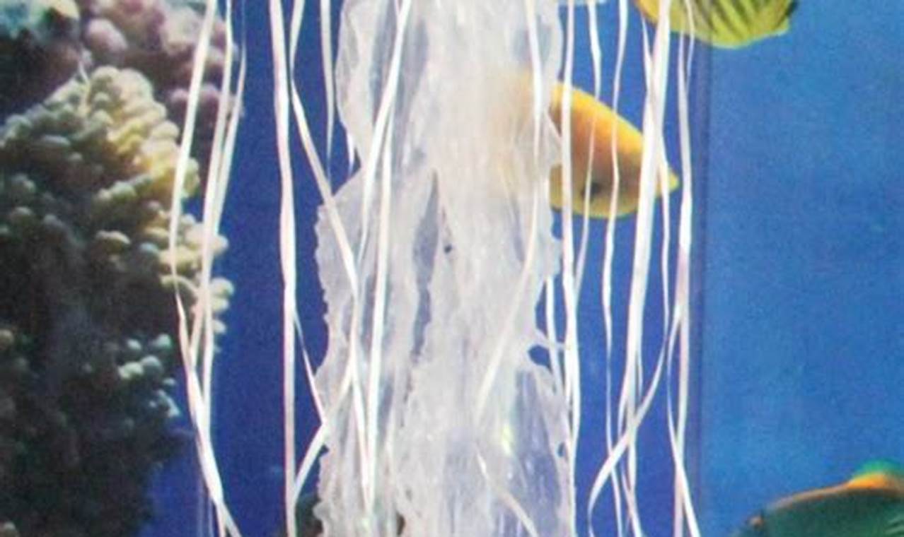 Dive In! Jellyfish Decorations DIY: Undersea Decor | The DIY Hub: Creative Crafts, Repairs & Life Hacks