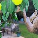 Easy DIY Jungle Decorations: Craft Your Wild Decor! | The DIY Hub: Creative Crafts, Repairs & Life Hacks