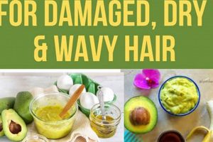 Easy Hydrating Hair Mask DIY: For Healthy Hair! The DIY Hub: Creative Crafts, Repairs & Life Hacks Easy Hydrating Hair Mask DIY: For Healthy Hair! | The DIY Hub: Creative Crafts, Repairs & Life Hacks